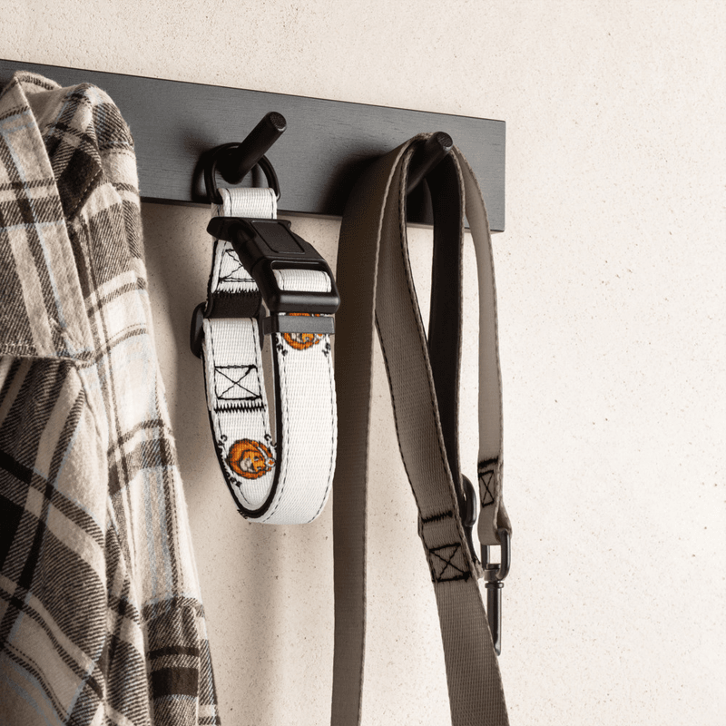Pet collar / S Pet collar